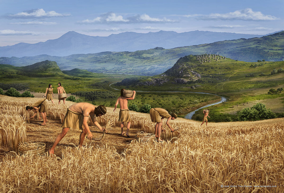 Неолитическая революция принесла людям сытость и стресс