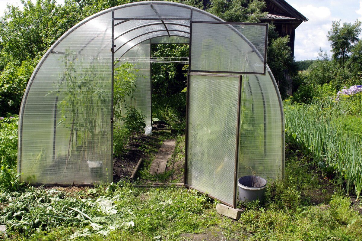 Фото:  Baltphoto / Владислав Галушко