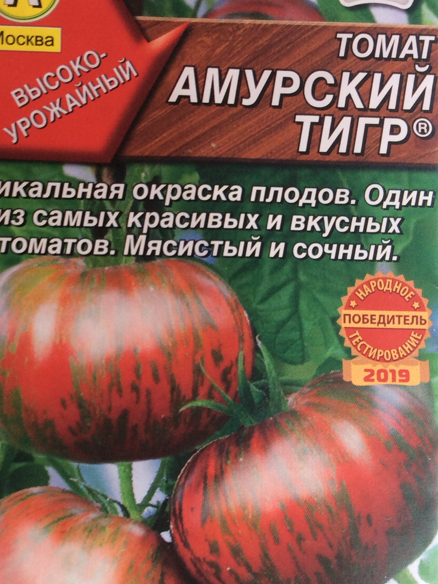Помидоры тигр отзывы фото