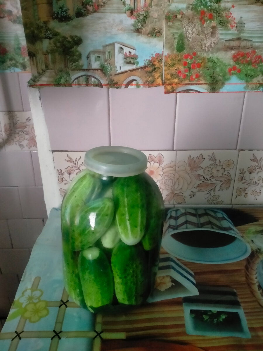 Готовые огурцы. Фотография автора