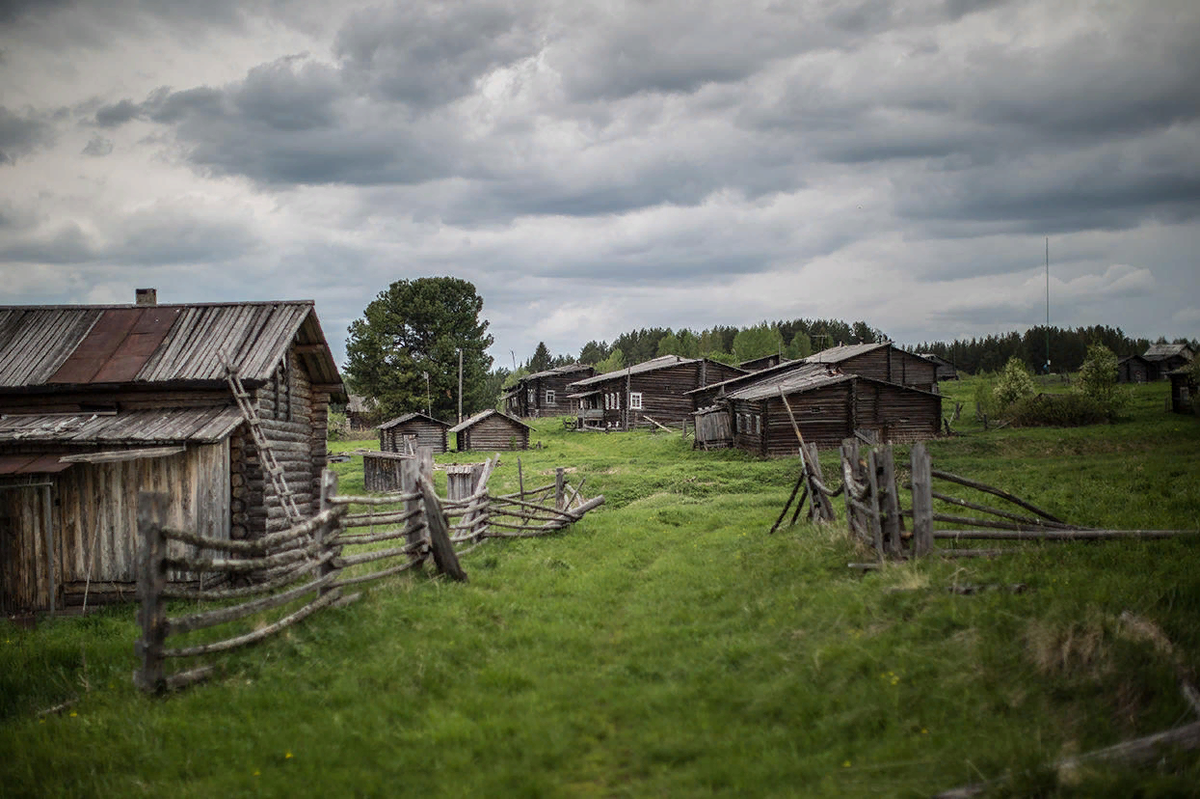 яндекс картинки