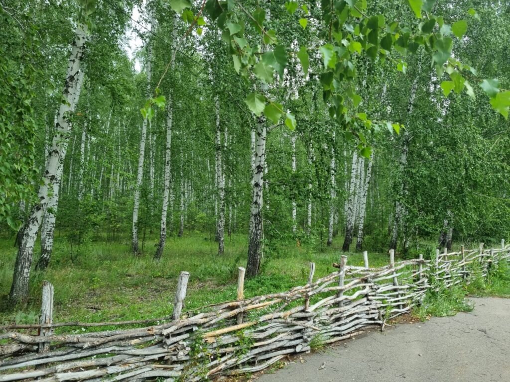 Петропавловск: гармония трех эпох на полноводном Ишиме | Ведомости  Казахстана | Дзен