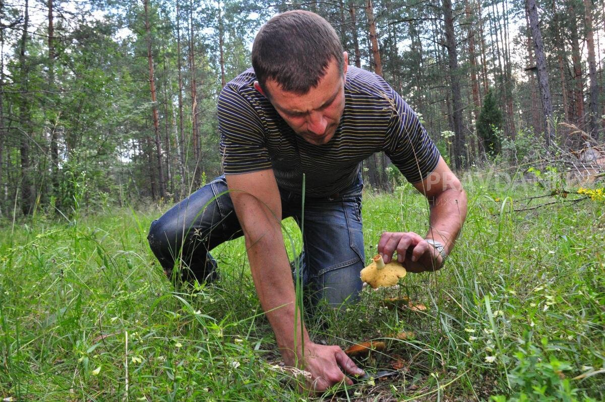    Кроме откровенно ядовитых грибов есть ещё и так называемые ложные Юлия Максимова