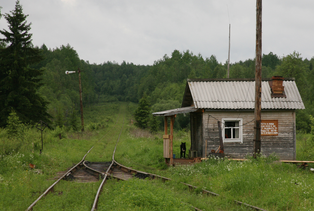 Вблизи станции. Узкоколейка Княжьи горы. ЖД Полустанок СССР. Железная дорога в деревне. Домик возле железной дороги.