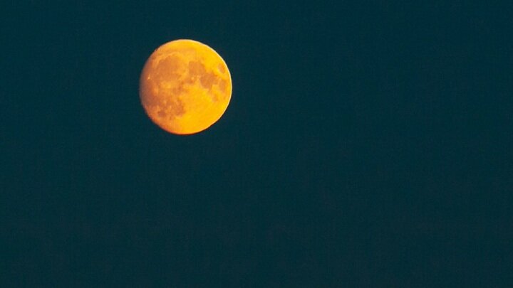 ФОТО: ROMAN DENISOV/GLOBALLOOKPRESS