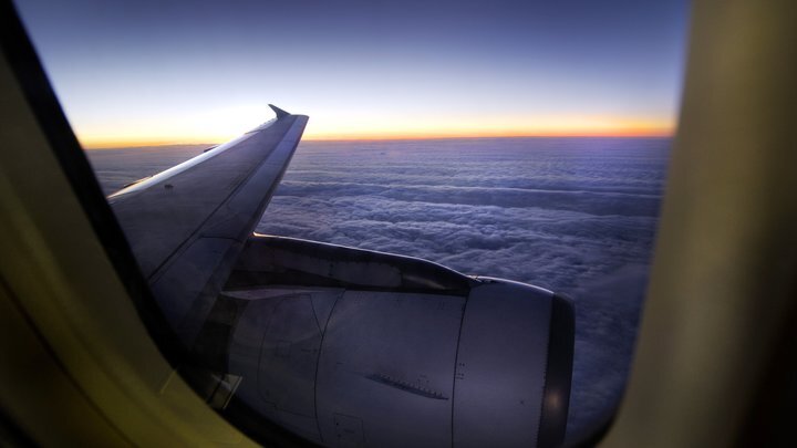 ФОТО: IMAGEBROKER/MANFRED BAIL/GLOBALLOOKPRESS