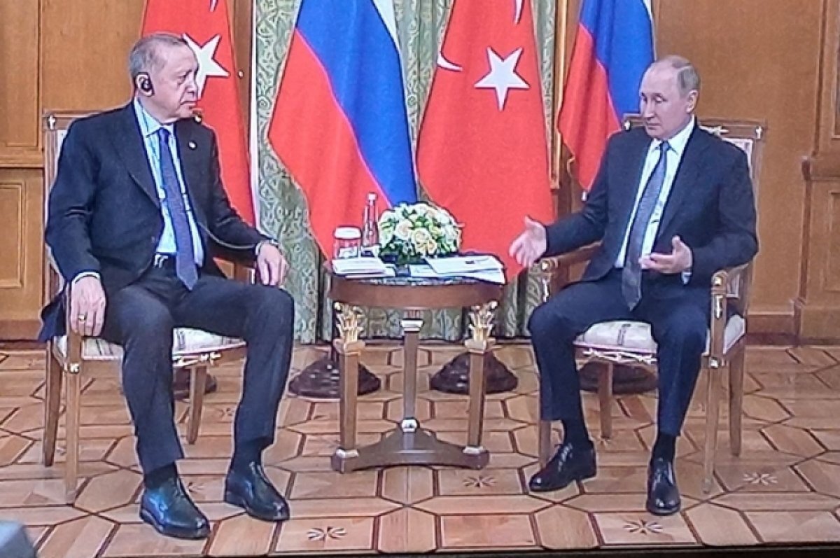    ТАСС: Реджеп Тайип Эрдоган и Владимир Путин встретятся в Сочи 4 сентября