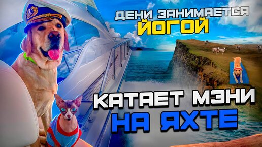 Дени и Мэни впервые в жизни катаются на яхте🛥 Дог-йога в серебряном бору🌳🧘‍♂️