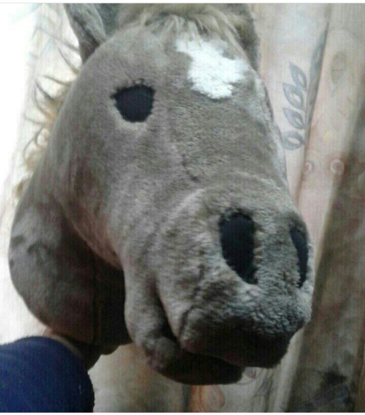 Мой первый Хорс.