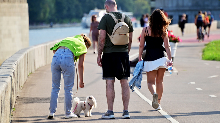 ФОТО: БАРАНОВ ВЛАДИМИР/GLOBALLOOKPRESS 