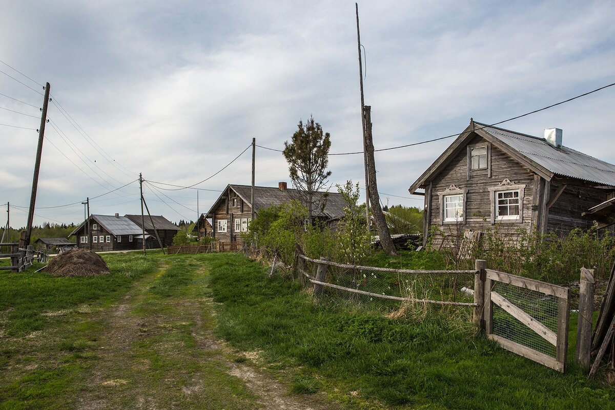 фото из открытого доступного источника сети интернет