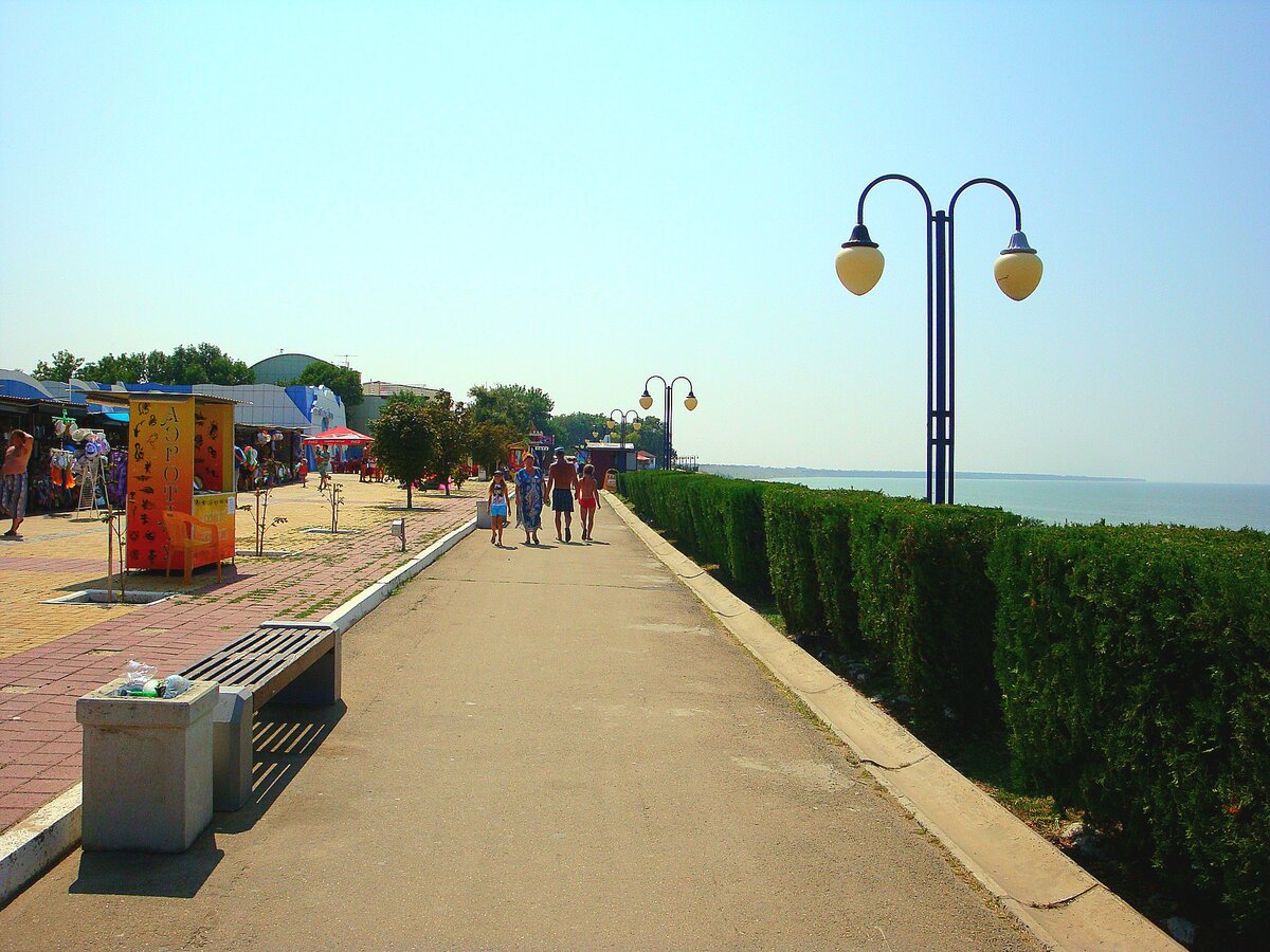 Мне жаль это живое ограждение. Фото 1.