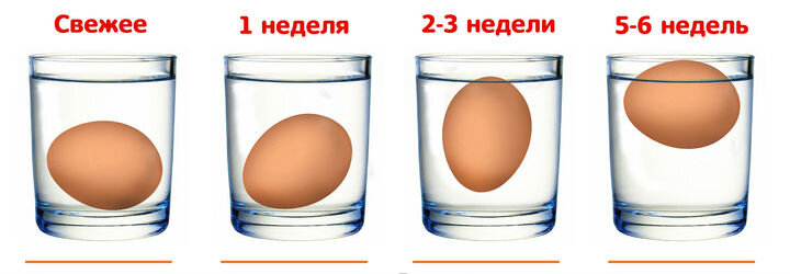 Свежее яйцо - fresh egg