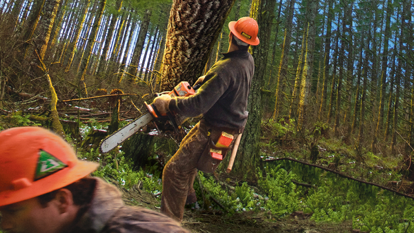 Заготавливаем дрова как в Норвегии. Три главных правила от знакомого норвежца