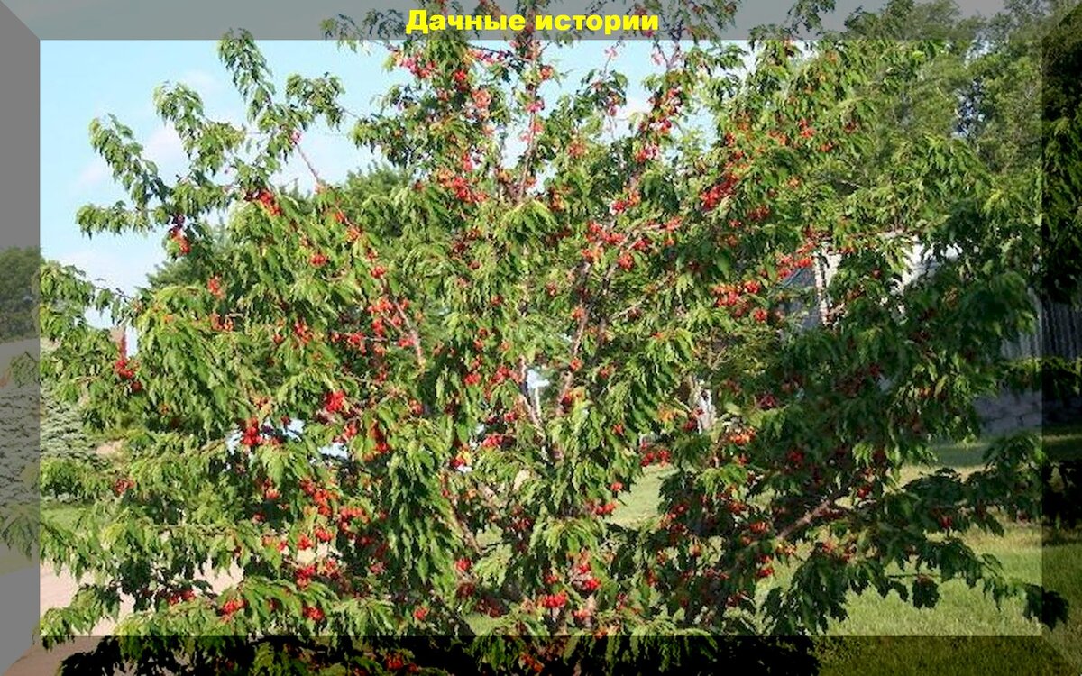 https://vk.com/photo-159774511_456242045