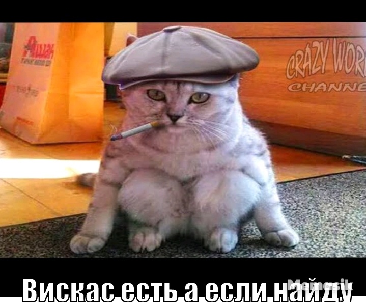 Кот гопник.