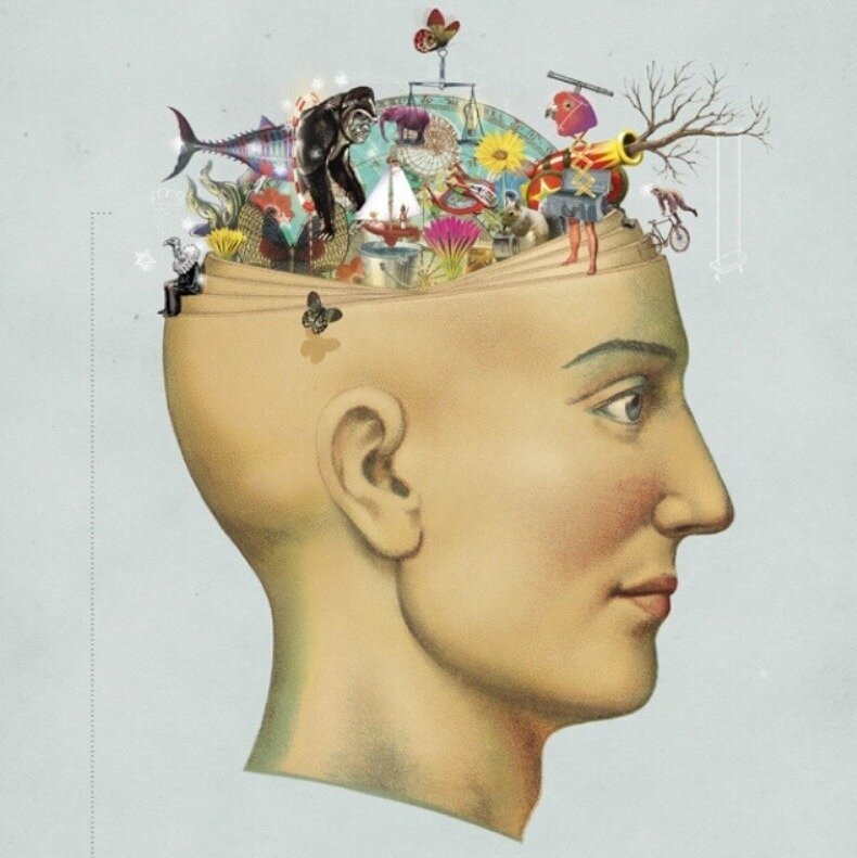 Яндекс фото.