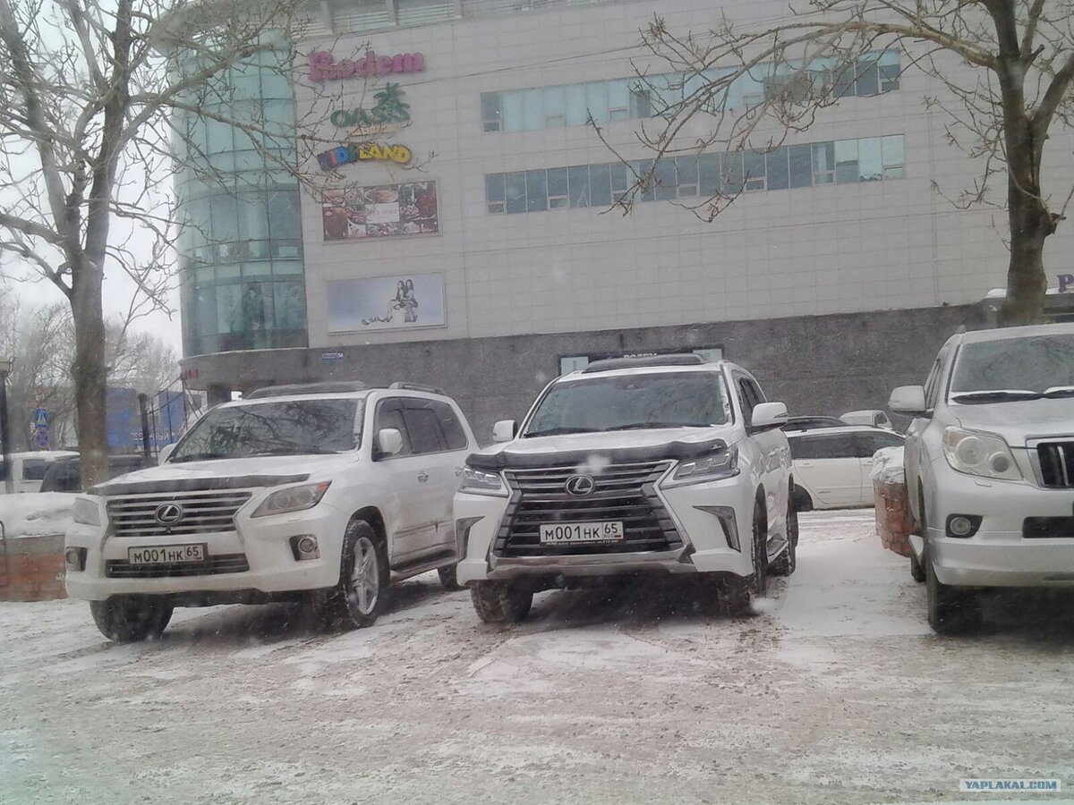 Видны различия у авто, но если они стоят вместе- значит наверняка в сговоре. источник: yaplakal.com