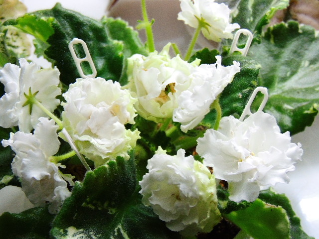 фото из архива автора