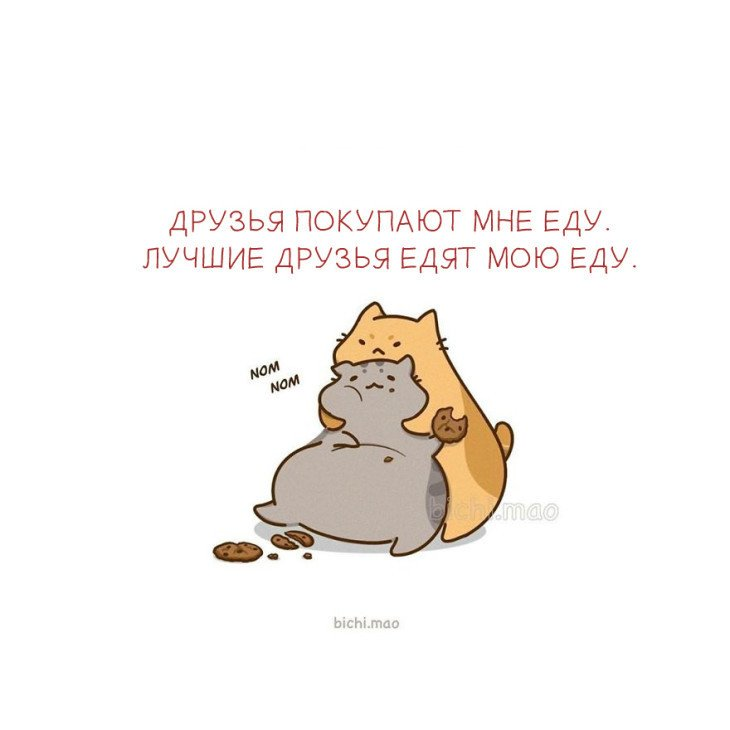 Изображение взято из открытых источников.