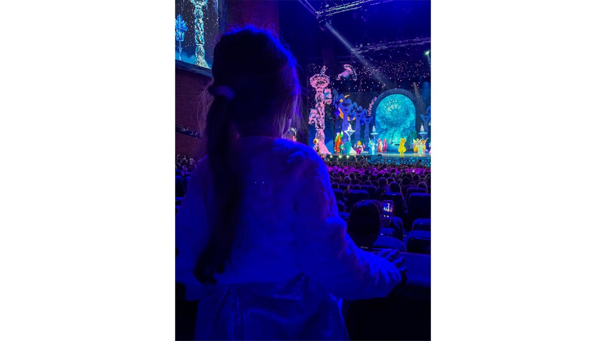 13 ряд партер