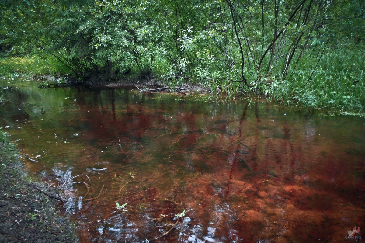 Водоем. 