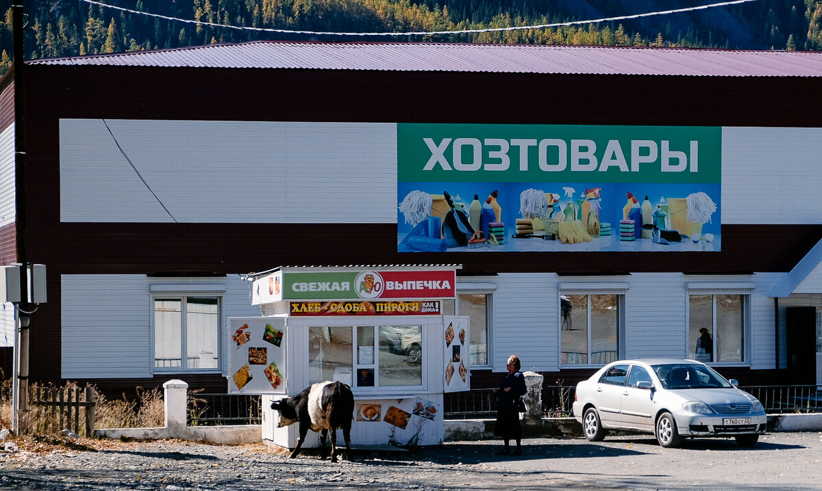 ⛰Горный Алтай: 15 моих фотографий про то как живут в одном из самых красивых мест России