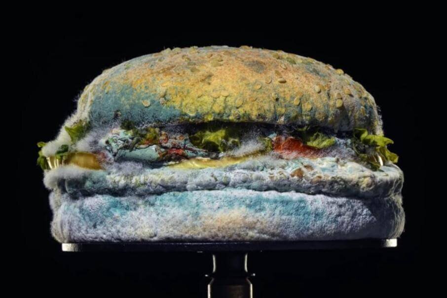 Фото: BURGER KING