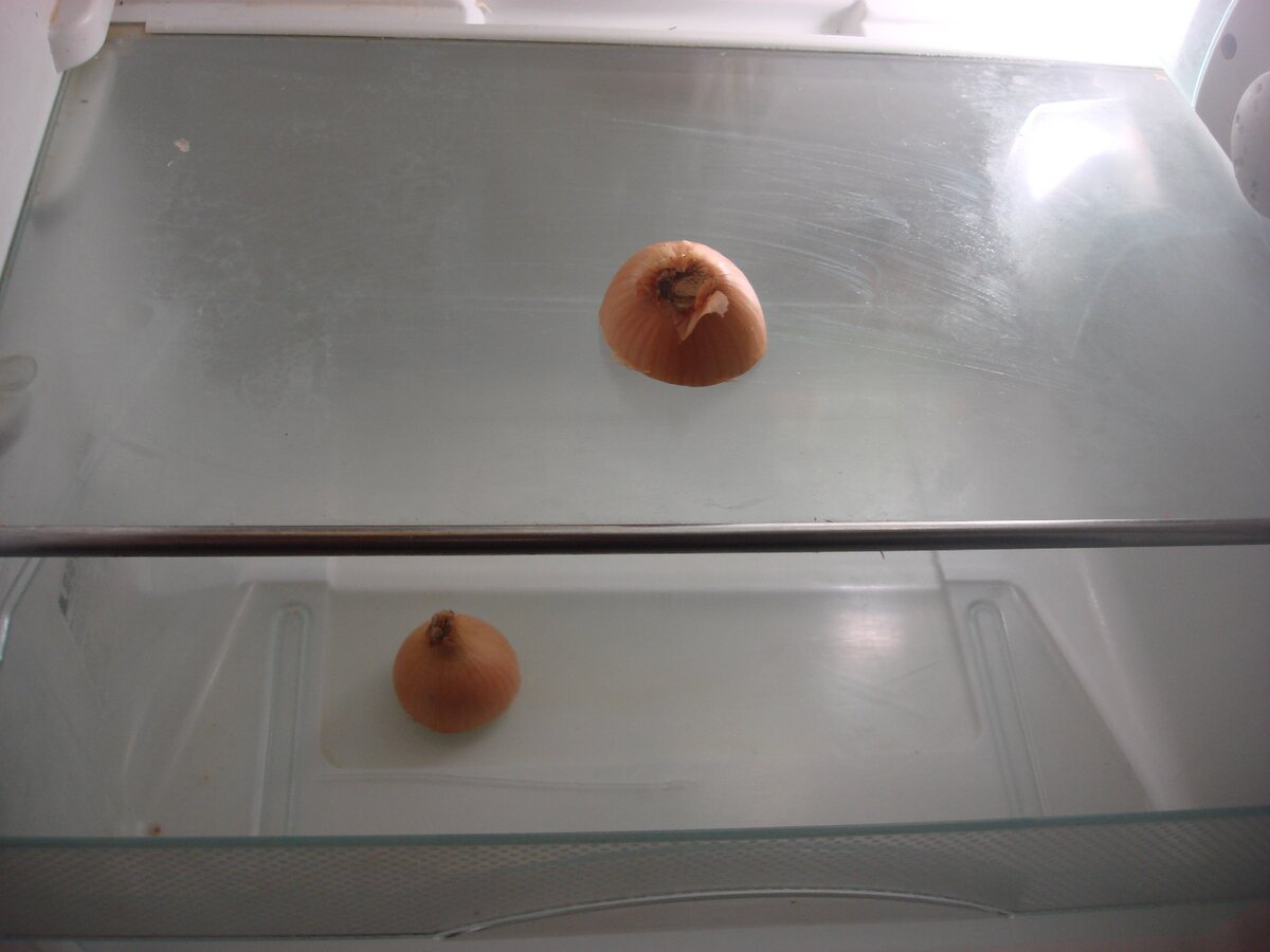 Фото сделано автором (просто протираем стекло луковицей)