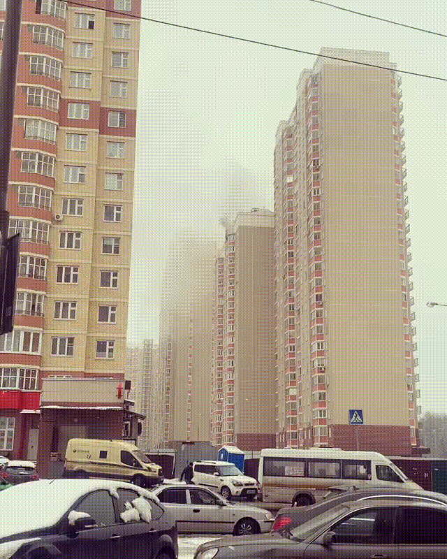 Видео предоставлено Светланой Чураковой