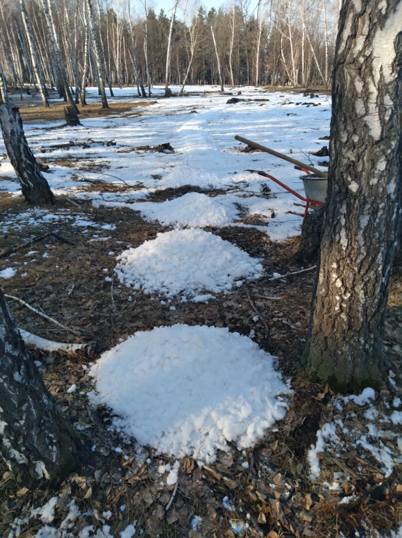 Кучки