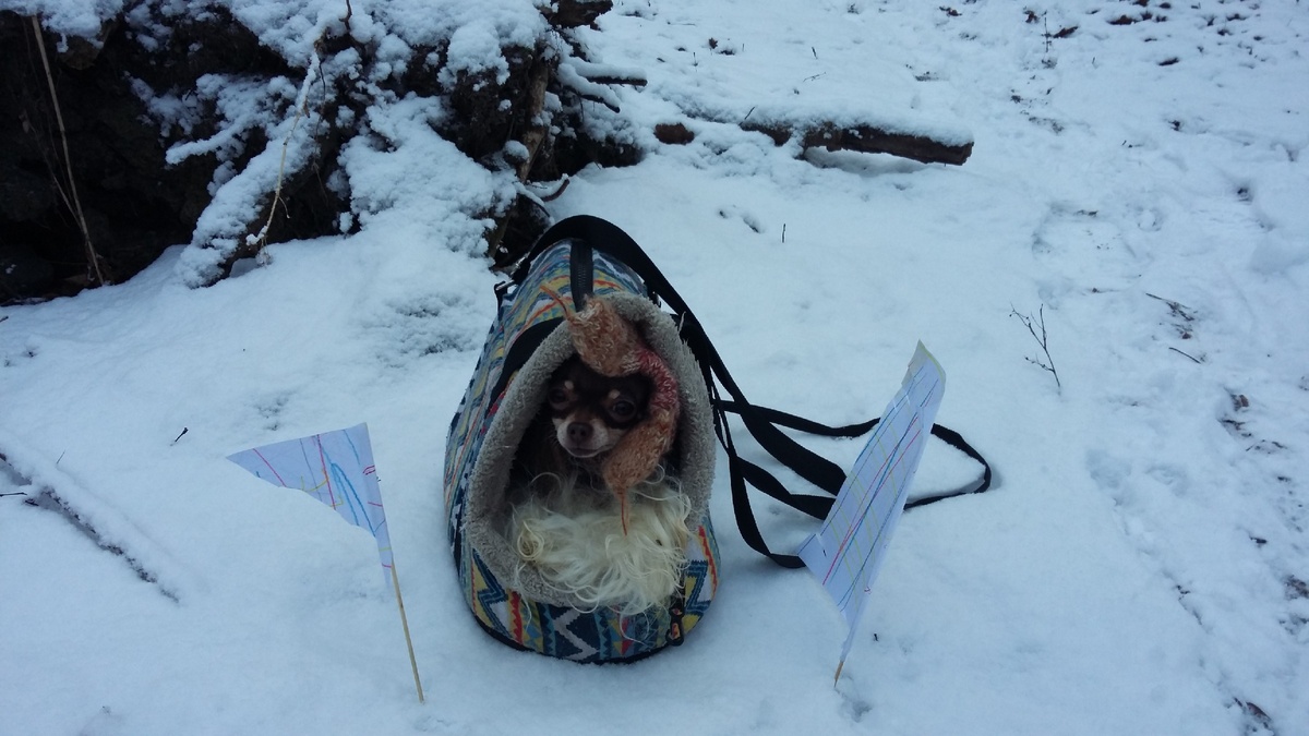 зимний вариант прогулки 