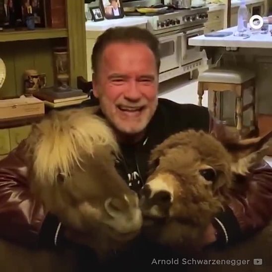 Здоровья тебе Арни!