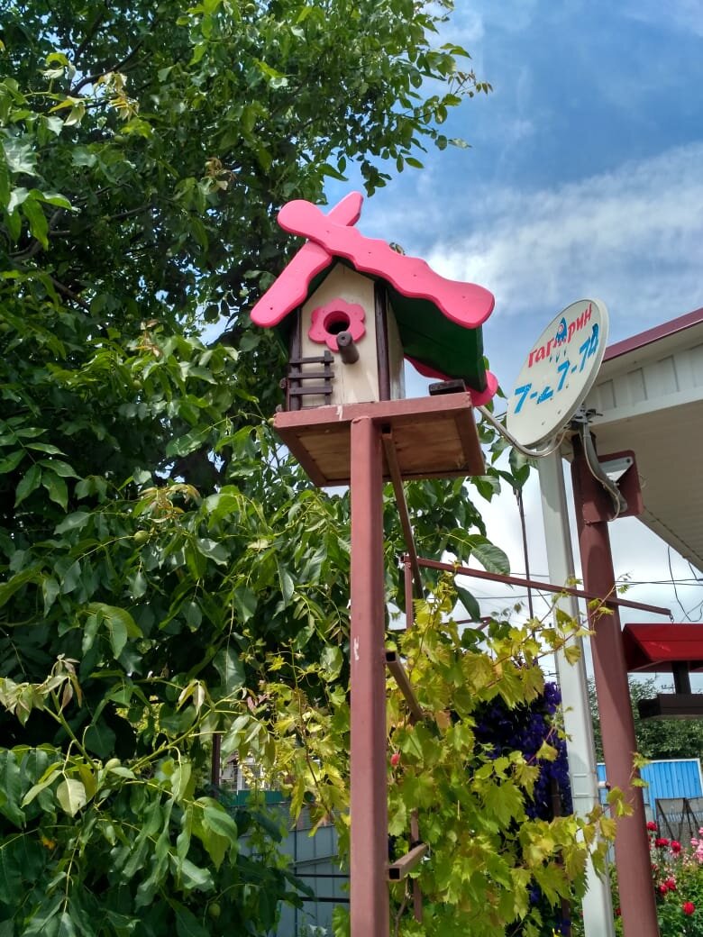 Это фото было сделано прошлым летом, а не в эти выходные