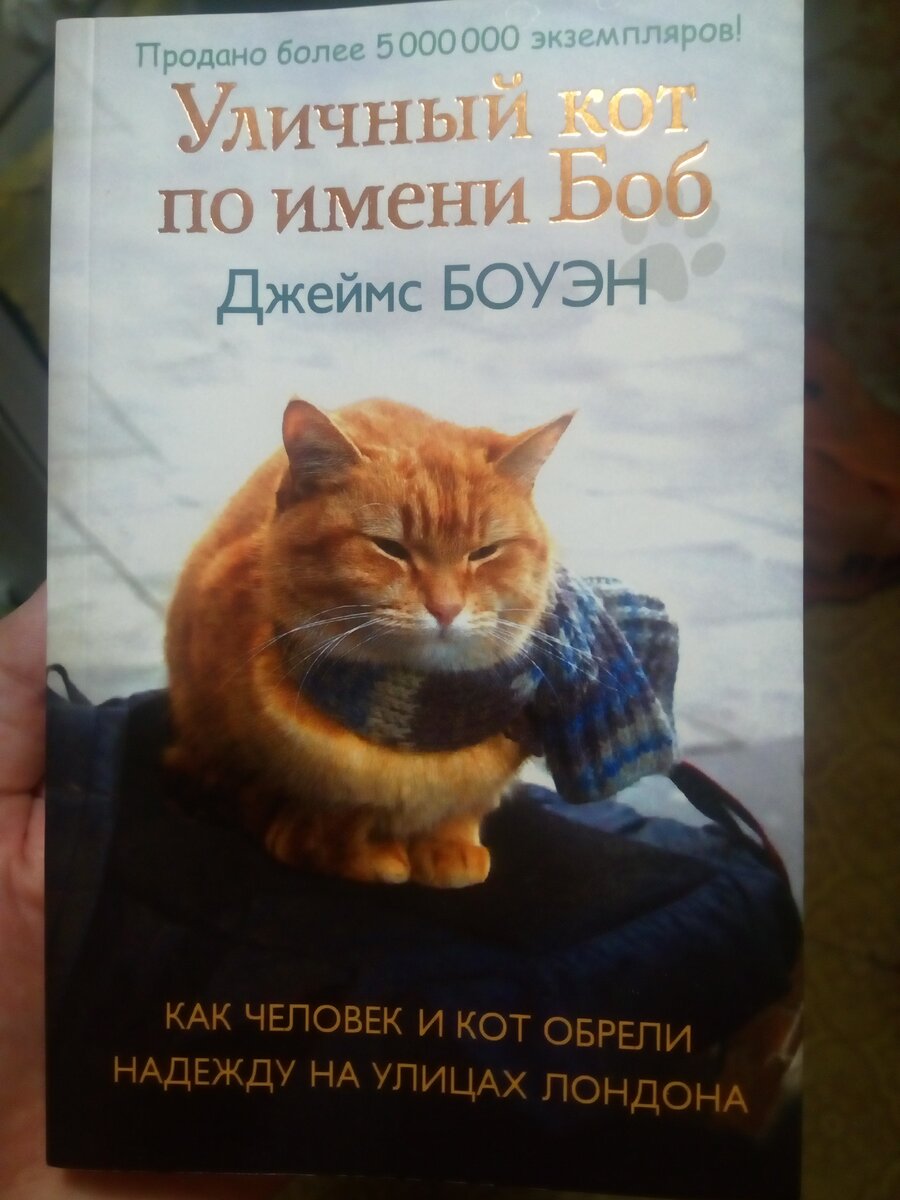 Вот так симпатично выглядит русское издание книги! С котом Бобом на обложке)