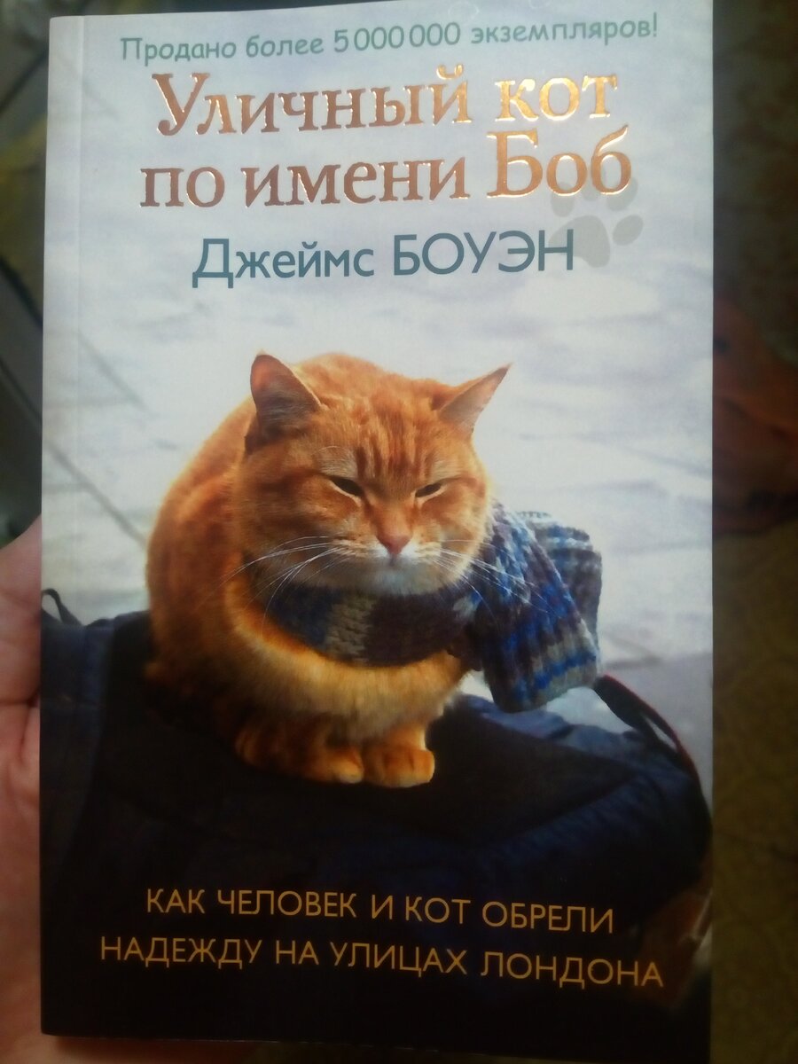 Уличный кот по имени Боб