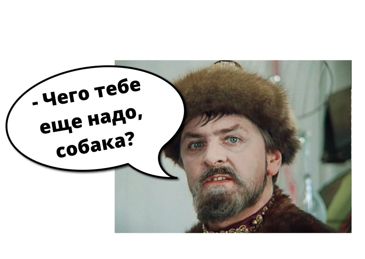 Что тебе еще надо собака. Что тебе ещё надо собака. Чего тебе надо собака. Чего тебе еще надо собака картинка. Чего тебе еще надо собака Мем.