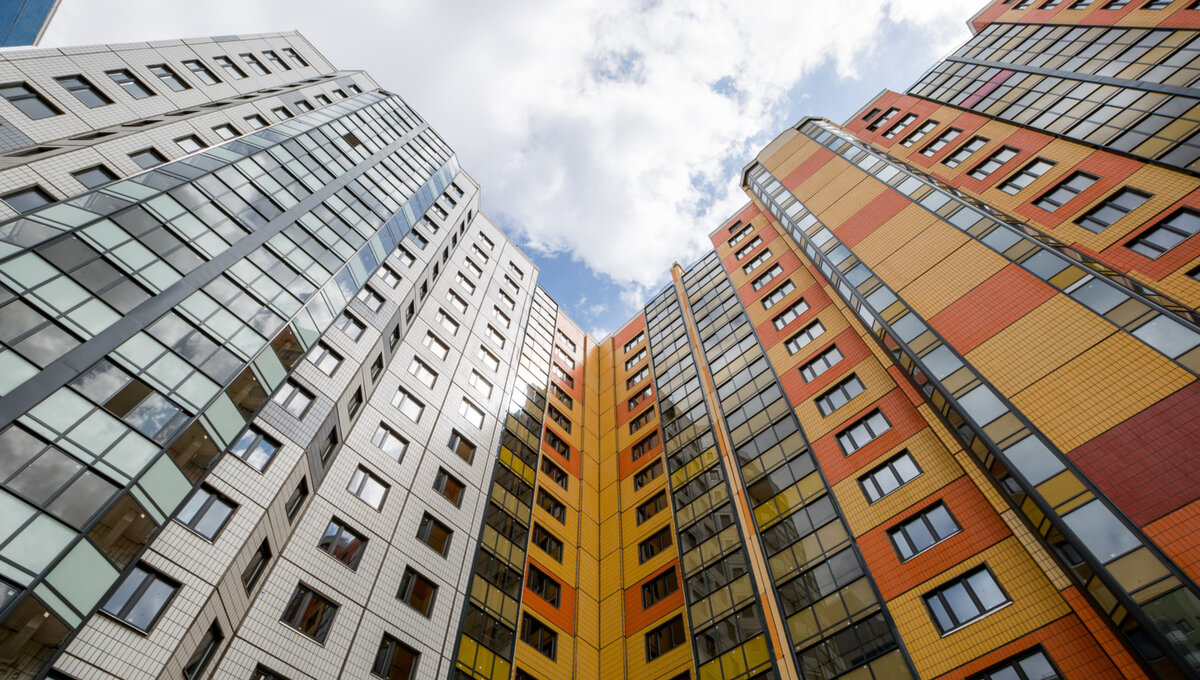 Фото: avatars.mds.yandex.net