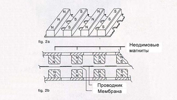 Мембрана между магнитами