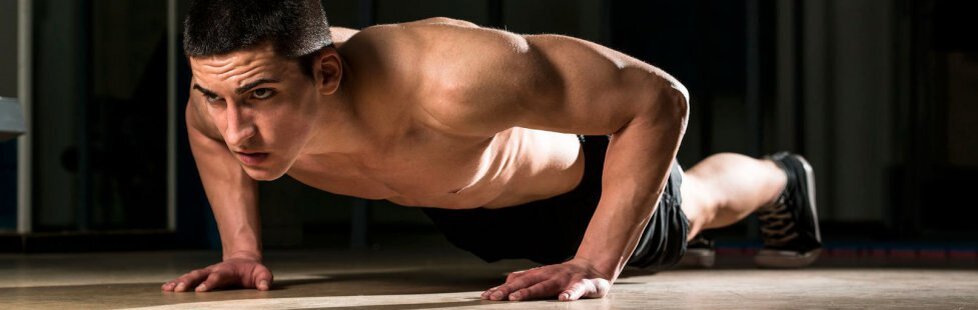 изображение взято с сайта:  FITBAR