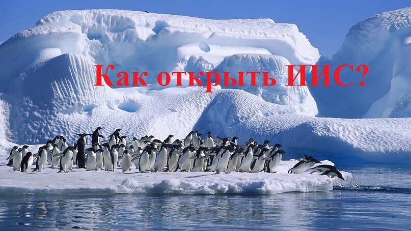 Открыть ИИС так же просто, как прыгнуть в холодную воду … это просто надо сделать!