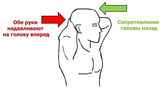 Простые упражнения на рабочем месте для снятия напряжения с мышц спины и профилактики остеохондроза шейного отдела…