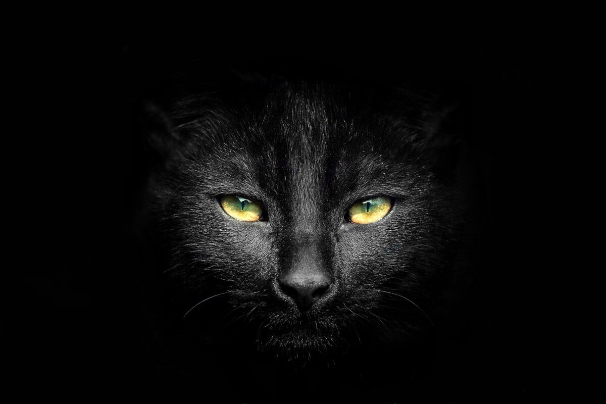 Лета'...мгновения...Что со мной?! Вот я кружусь...и поднимаюсь.
Покрыты сталью Небеса,
И Свет ч'рез них я различаю...
" О...МАМА! МАМА помоги!
Сквозь тернии сии пройти...
Ты сможешь! Знаю! Проводи!
Дай упоение для Души!"