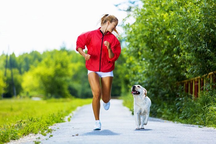 9 пород собак, которые станут отличными партнерами для бега | Dogworry |  Дзен