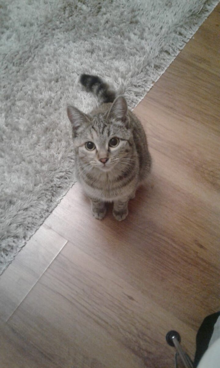 Руйке тут около 6 месяцев