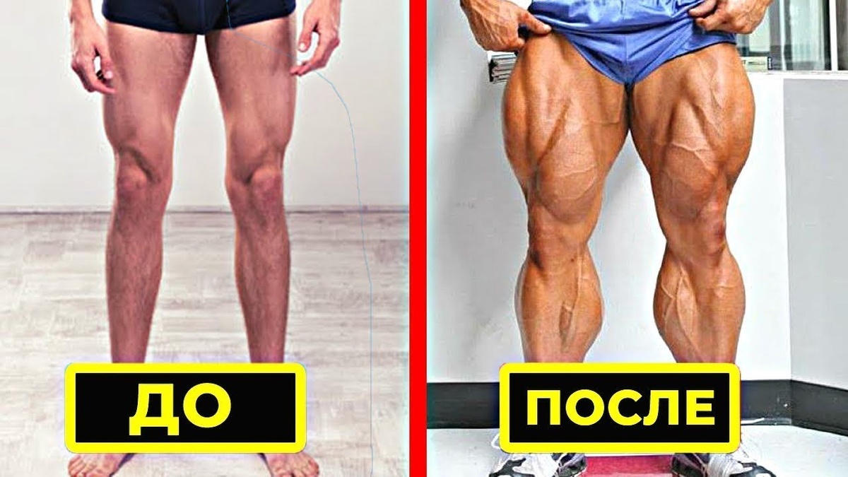 Фото взято из открытых источников