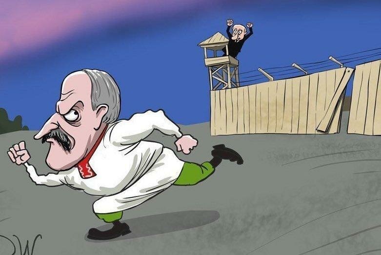 https://cdn.fishki.net/upload/post/2020/02/14/3229998/3-1.jpg