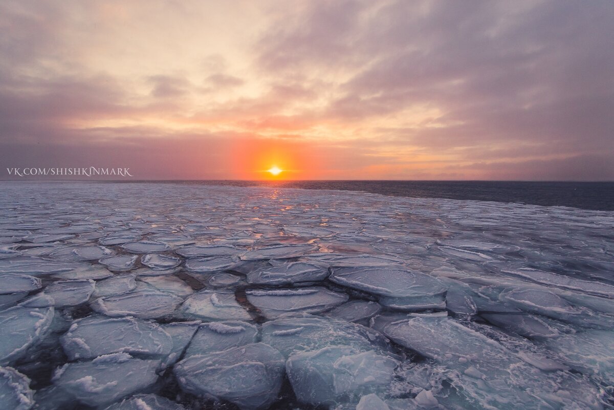 Камчатка побережье Берингово море