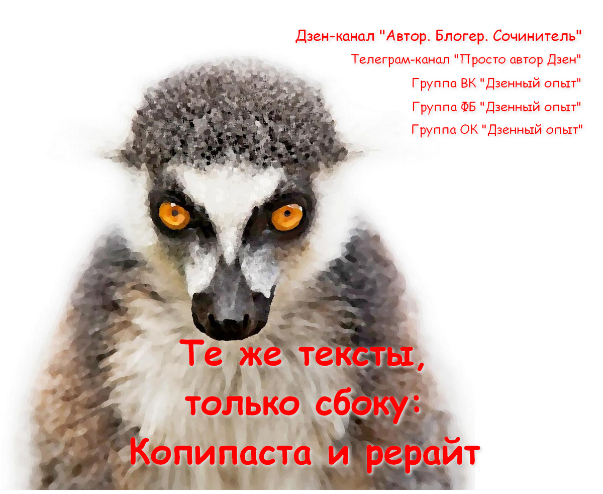 Animal на дзене