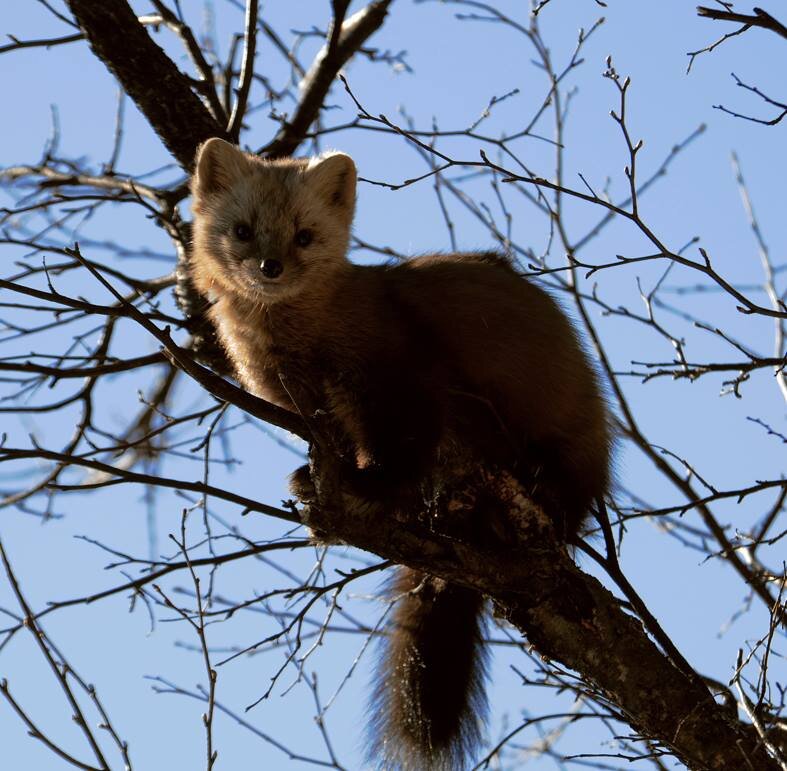 Фото Сергей Усик